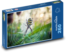 Pavúk Puzzle 260 dielikov - 41 x 28,7 cm 