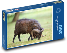 Ovce Puzzle 260 dielikov - 41 x 28,7 cm 