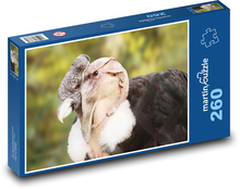 Kondor - vták Puzzle 260 dielikov - 41 x 28,7 cm