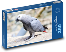Graupapagei Puzzle 260 Teile - 41 x28,7 cm