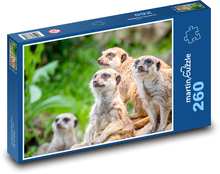 Surikaty Puzzle 260 dílků - 41 x 28,7 cm