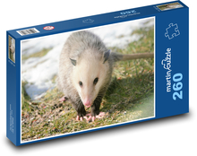 Opossum Puzzle 260 pieces - 41 x 28.7 cm 