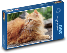 Kot perski Puzzle 260 elementów - 41x28,7 cm