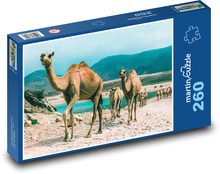 Wielbłądy - Oman Puzzle 260 elementów - 41x28,7 cm