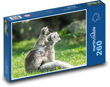 Lemur s mládětem Puzzle 260 dílků - 41 x 28,7 cm