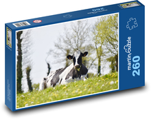 Gepunktete Kuh auf der Wiese Puzzle 260 Teile - 41 x28,7 cm