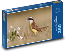 Tyrant Bentevi - Vogel Puzzle 260 Teile - 41 x28,7 cm