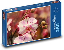 Květy orchideje Puzzle 260 dílků - 41 x 28,7 cm