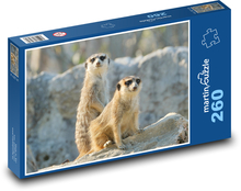 Surikaty na skale Puzzle 260 dielikov - 41 x 28,7 cm