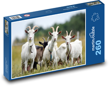 Herd of goats Puzzle 260 pieces - 41 x 28.7 cm 