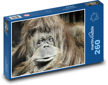 Orangutan - monkey Puzzle 260 pieces - 41 x 28.7 cm 