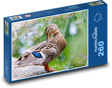 Duck on the lake Puzzle 260 pieces - 41 x 28.7 cm 