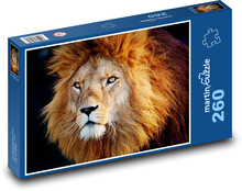 Lion with a big mane Puzzle 260 pieces - 41 x 28.7 cm 