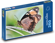 Tropikalny motyl Puzzle 260 elementów - 41x28,7 cm