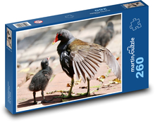 Bahnica obyčajná - vták Puzzle 260 dielikov - 41 x 28,7 cm