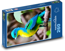 Turako - pták Puzzle 260 dílků - 41 x 28,7 cm