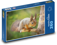 Veverička stromová Puzzle 260 dielikov - 41 x 28,7 cm 