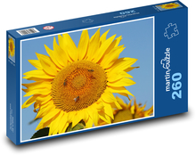 Slunečnice Puzzle 260 dílků - 41 x 28,7 cm