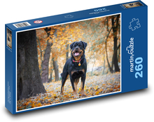 Rotvajler - pes Puzzle 260 dielikov - 41 x 28,7 cm 