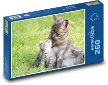 Matka kočka s kotětem Puzzle 260 dílků - 41 x 28,7 cm