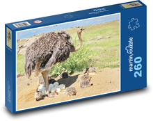 Pštros - vták Puzzle 260 dielikov - 41 x 28,7 cm