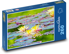 Lilia wodna - woda Puzzle 260 elementów - 41x28,7 cm