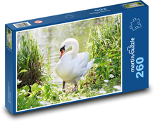 Biela labuť Puzzle 260 dielikov - 41 x 28,7 cm