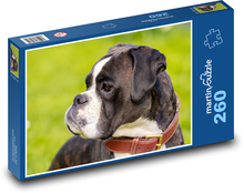 Pes - Boxer Puzzle 260 dielikov - 41 x 28,7 cm 