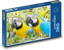 Parrot Puzzle 260 pieces - 41 x 28.7 cm 