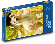 Spotted hyena Puzzle 260 pieces - 41 x 28.7 cm