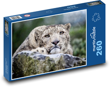 Leopard Puzzle 260 dielikov - 41 x 28,7 cm
