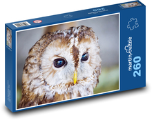 Owl - bird Puzzle 260 pieces - 41 x 28.7 cm