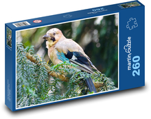 Jojka - vták Puzzle 260 dielikov - 41 x 28,7 cm 