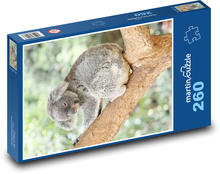 Koala na strome Puzzle 260 dielikov - 41 x 28,7 cm