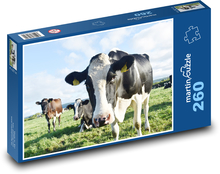 Cows on meadow. Puzzle 260 pieces - 41 x 28.7 cm 