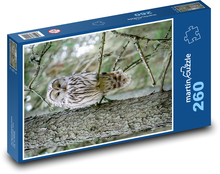 Owl on a Branch Puzzle 260 pieces - 41 x 28.7 cm 