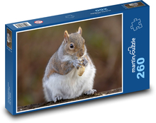 Veverička a arašidy Puzzle 260 dielikov - 41 x 28,7 cm 