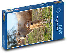 Kuh und Kalb Puzzle 260 Teile - 41 x28,7 cm