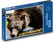 Braunbär Puzzle 260 Teile - 41 x28,7 cm