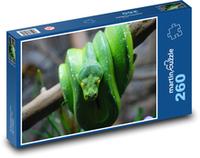 Zelený had - krajta Puzzle 260 dílků - 41 x 28,7 cm