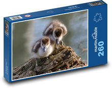 Egyptian geese Puzzle 260 pieces - 41 x 28.7 cm 