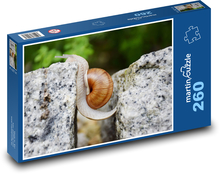 Snail Puzzle 260 pieces - 41 x 28.7 cm 