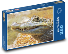Aligátor Puzzle 260 dílků - 41 x 28,7 cm