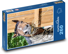 Kôň Puzzle 260 dielikov - 41 x 28,7 cm 