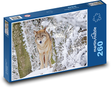 Wolf - Mongolia Puzzle 260 pieces - 41 x 28.7 cm 