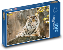 Tiger Puzzle 260 dielikov - 41 x 28,7 cm 