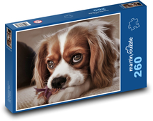King Charles Spaniel - Šteniatko Puzzle 260 dielikov - 41 x 28,7 cm