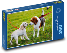 Puppies in the park Puzzle 260 pieces - 41 x 28.7 cm
