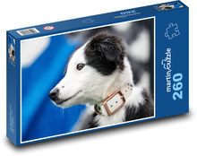 Border Collie Puppy Puzzle 260 elementów - 41x28,7 cm