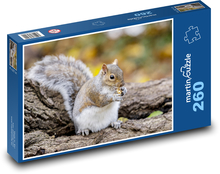Squirrel Puzzle 260 pieces - 41 x 28.7 cm 